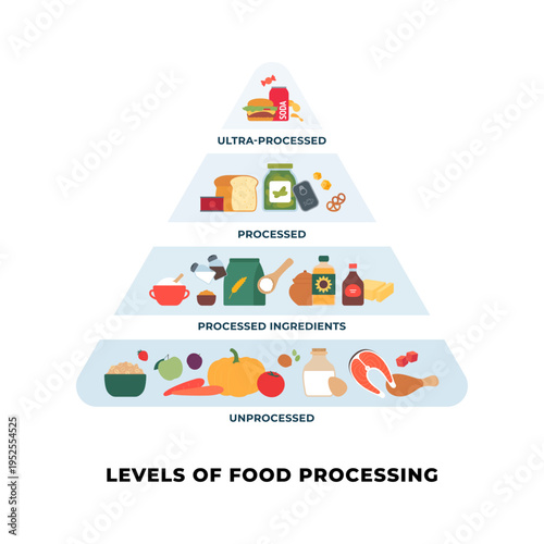 Vector flat infographic of NOVA food processing classification pyramid. Shows 4 levels from unprocessed healthy base to ultra-processed junk food top. Diet and nutrition guide.