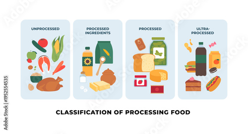 Vector flat chart of food processing classification. 4 categories: unprocessed, ingredients, processed, and ultra-processed junk food. Diet nutrition and health education infographic.