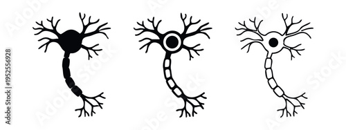 Neuron Brain Cell Nervous System Icon Set Vector