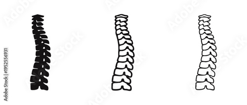 Full Human Spine Vertebral Column Icon Set in Three Styles