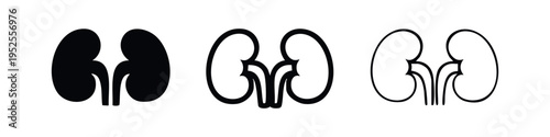 Human Kidney Icons Set with Adrenal Glands. Vector Illustration of Black Silhouette, Thick and Thin Outline Kidneys.