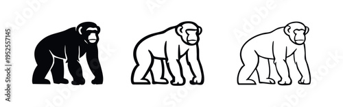 Standing Gorilla Icon Set in Black and White Outline and Solid Styles