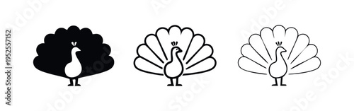 Elegant Peacock Bird Icon Set with Fanned Tail in Black and White Styles