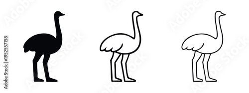 Modern Ostrich Icon Set in Black, Outline, and Thin Line Styles