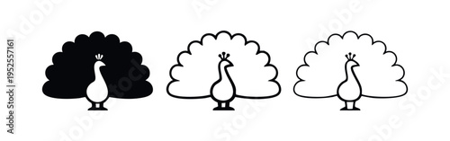 Stylized Peacock Icon Set with Fanned Tail Design in Black and White