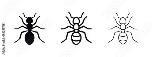 Ant icon set in three styles: solid, outline, and thin line, isolated on white background.
