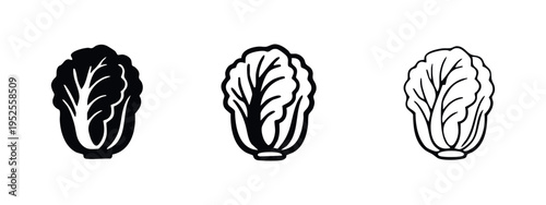Napa Cabbage Icon Set. Chinese Cabbage Vegetable Black Glyph and Outline Vector Illustration.