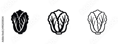 Napa Cabbage icon set. Fresh Chinese cabbage vector symbols for Asian food, healthy eating, and cooking