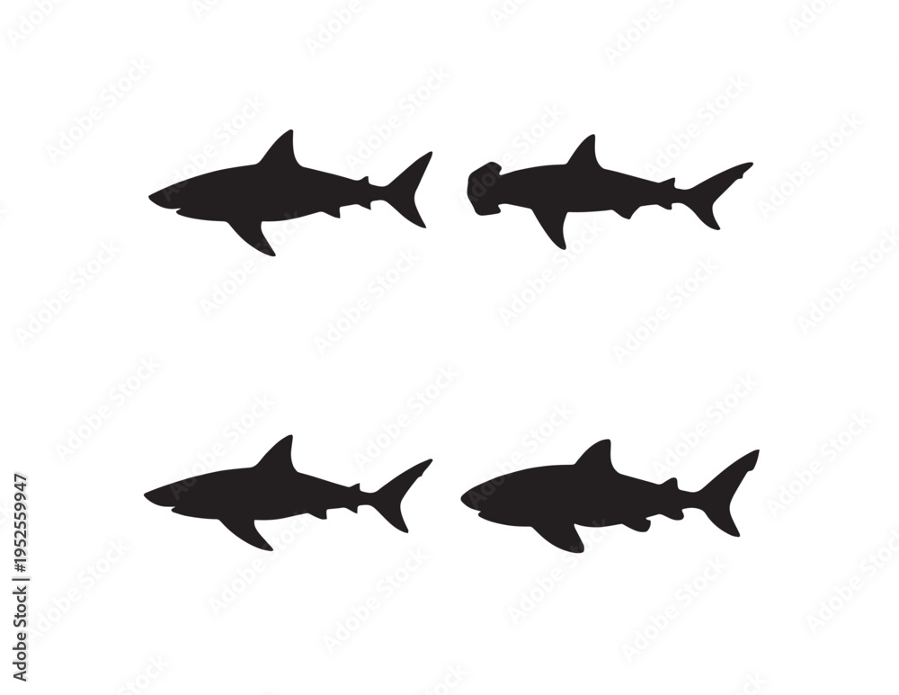 Fototapeta premium Shark silhouette vector set, four distinct shark species icons, black marine predator graphics for ocean conservation and aquatic themes