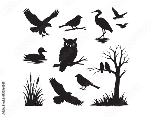 Majestic bird silhouettes vector collection, diverse avian species in flight and at rest. Black wildlife animal graphics, nature-inspired design elements for outdoor themes.