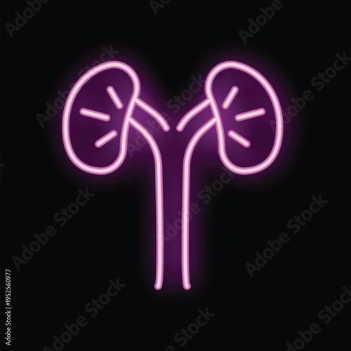 Pink neon sign depicting a pair of kidneys glowing on a black background