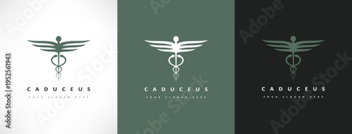 caduceus medical logo vector design