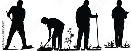 Silhouette of gardening and cleaning workers maintaining outdoor area, sweeping and raking leaves, landscaping and sanitation service team vector illustration