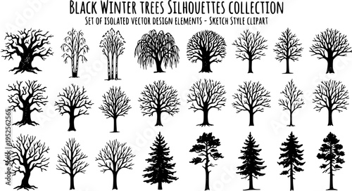 Collection of black winter tree silhouettes featuring bare branches and natural forms. Hand-drawn in a sketch style, this set of isolated vector elements captures the essence of seasonal nature. Minim