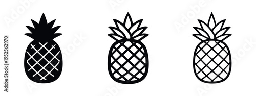 Textured pineapple fruit icon set. Detailed tropical fruit vector illustration in solid, outline, and hand-drawn styles.