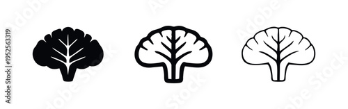 Cerebellum icon set: brain part symbol in solid, bold outline, and thin line styles