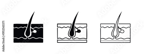 Hair follicle and skin icon set: dermatological symbol in solid, bold outline, and thin line styles