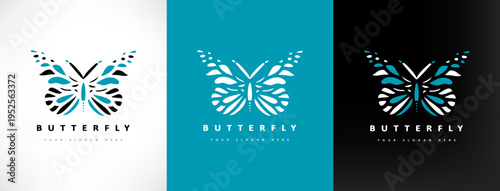 butterfly logo vector insect design