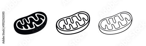Mitochondria vector icon set. Cellular organelle symbol in various styles.