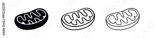 Mitochondrion icon set: cellular organelle symbol in solid, bold outline, and thin line styles