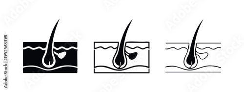 Hair follicle vector icon set. Human hair anatomy symbol in multiple styles.