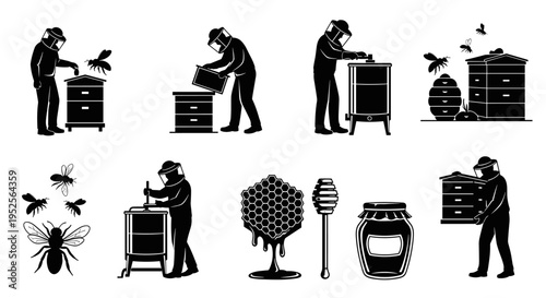 Beekeeper working with bees and hives.