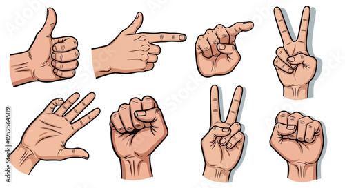 Comprehensive set of diverse human hand gestures including approval, pointing, strength, and victory signs in a bright studio.