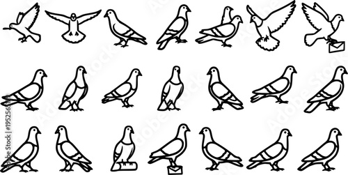 Black  White Line Art Pigeon and Dove Icon Set for Wildlife, Nature, Communication, and Delivery Concepts