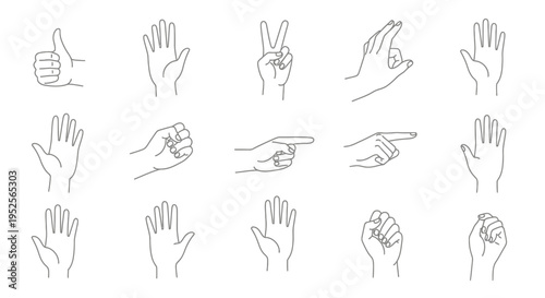 Collection of Diverse Hand Gesture Line Icons Set, Featuring Open Palms, Pointing, Thumbs Up, and Peace Signs for Communication, isolated white background