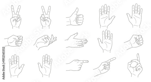 Extensive Collection of Human Hand Gestures Line Art on Isolated White Background