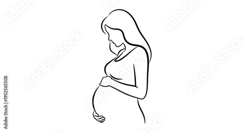 Pregnant woman affectionately holding her baby bump with both hands, isolated white background.