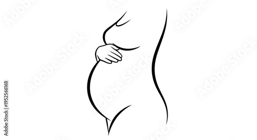 Pregnant Woman's Torso with Hands Tenderly Touching Her Baby Bump, Line Art on an Isolated White Background