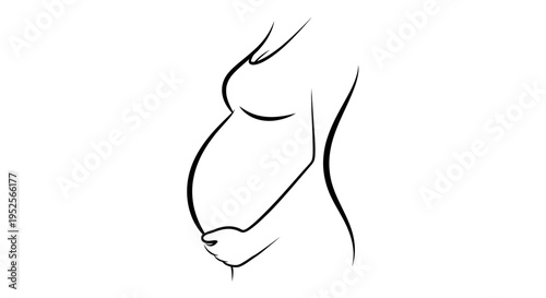 Close-up of a Pregnant Woman's Belly with Hands Gently Cradling It, Line Art on an Isolated White Background
