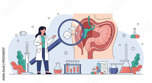 Gastroenterology medical concept showing a female doctor using a magnifying glass to examine a diagram of human intestines.