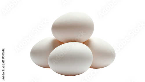 Isolated group of fresh white chicken eggs stacked in a neat pile ready for cooking or baking