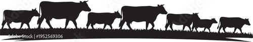 Vector cow herd silhouette isolated on Transparent Background