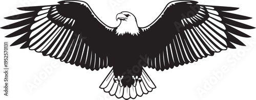 Vector bald eagle icon isolated on Transparent Background