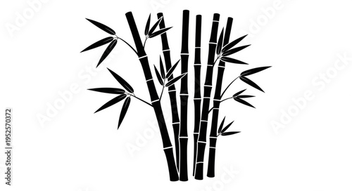 Elegant Bamboo Stalks Silhouette - A Serene Botanical Illustration.