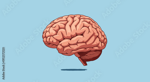 Detailed human brain illustration on a blue background representing cognitive function, intelligence, and medical anatomy.