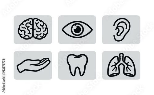 Human body organ and sense icons brain eye ear hand tooth lungs in rounded tiles flat vector icon