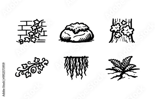 Six black outline nature icons with labels showing ivy on wall, moss on rock, lichen on tree, creeping vine, spanish moss, and fern in crack