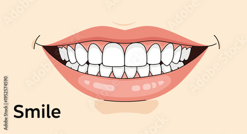 Detailed illustration of a wide human smile showing healthy white teeth and pink gums for dental healthcare advertising.