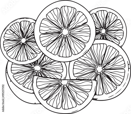 Citrus Fruit Slices Stacked Doodle Art Style for Backgrounds and Design