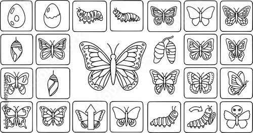 Nature Education Black  White Line Art: Butterfly Life Cycle Stages and Various Butterflies. Outline Insect Illustrations for Kids' Learning and Coloring.