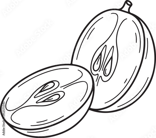 Grape illustration halved and whole showing seeds and stem detail line art isolated on white