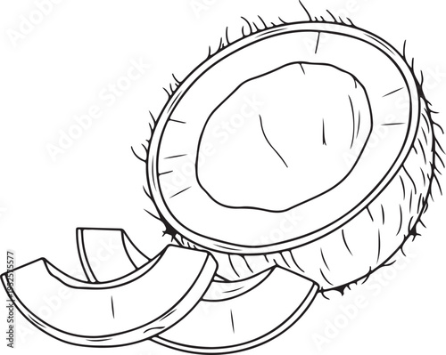 Half Coconut with Slices Outline Drawing Tropical Fruit Isolated