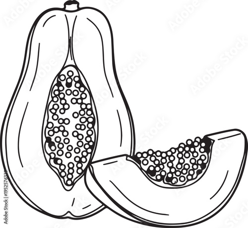 Papaya Fruit Half and Slice Line Art Illustration