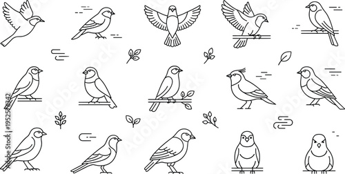 Minimal Line Art Birds Set with Simple Designs and Nature Elements Vector Illustration Collection