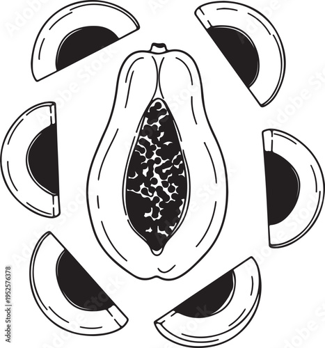 Papaya Fruit Half and Slices Arranged Circularly Line Art Illustration