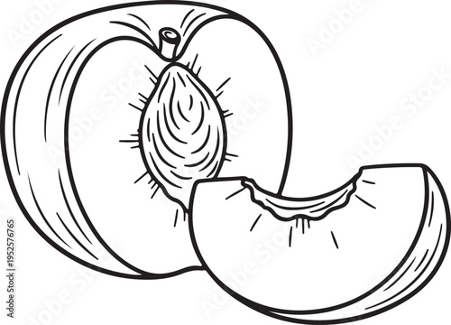 Peach Half with Slice and Seed Outline Drawing Isolated on White Stock Illustration